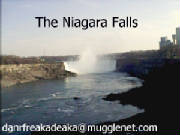 The Niagara Falls