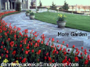 The Secret Garden