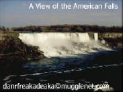 The View of The American Falls