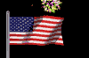 Flag With Fireworks